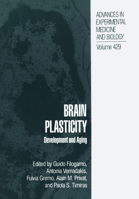 Brain Plasticity