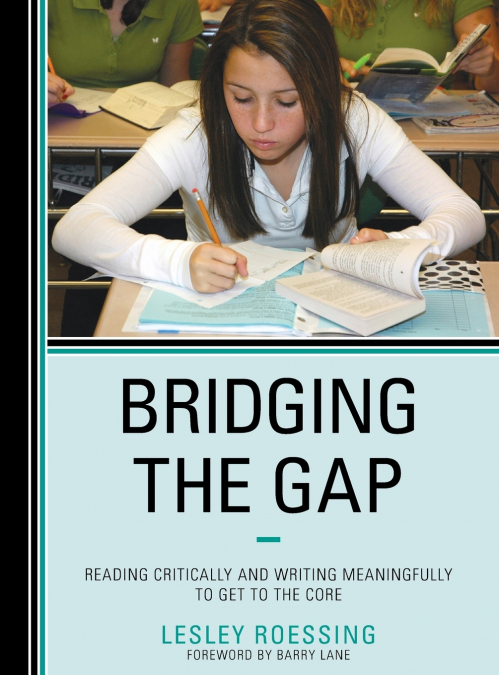 Bridging the Gap