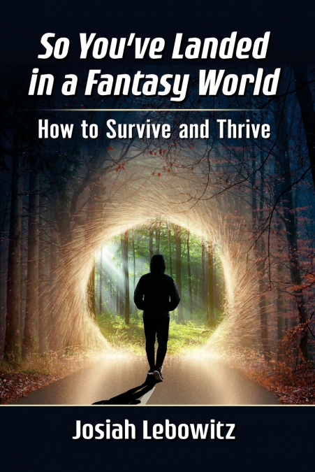 So You’ve Landed in a Fantasy World