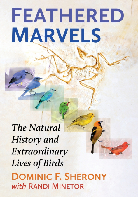 Feathered Marvels
