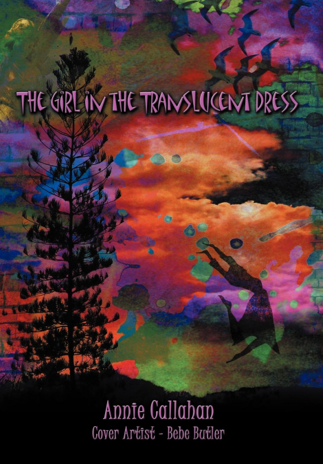 The Girl in the Translucent Dress