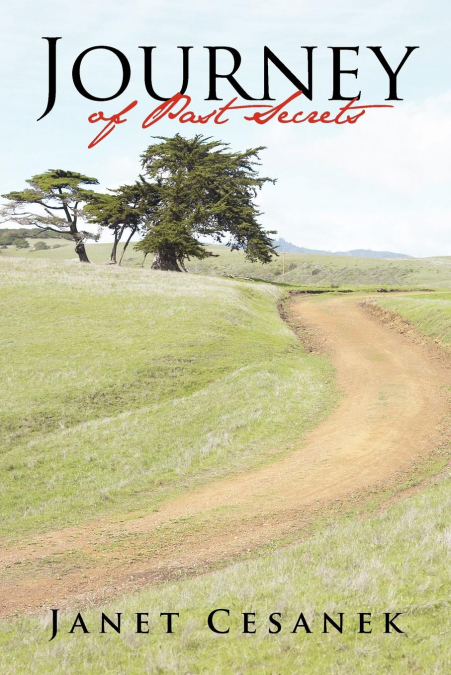 Journey of Past Secrets