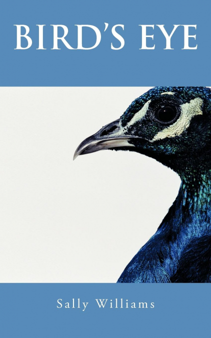 BIRD’S EYE