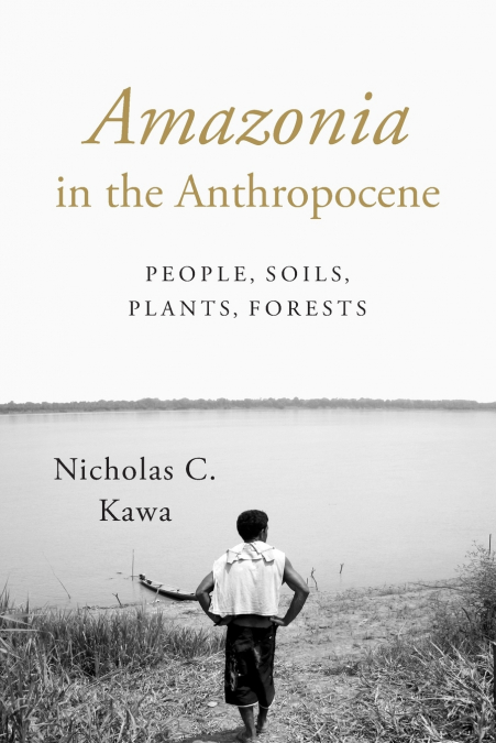Amazonia in the Anthropocene
