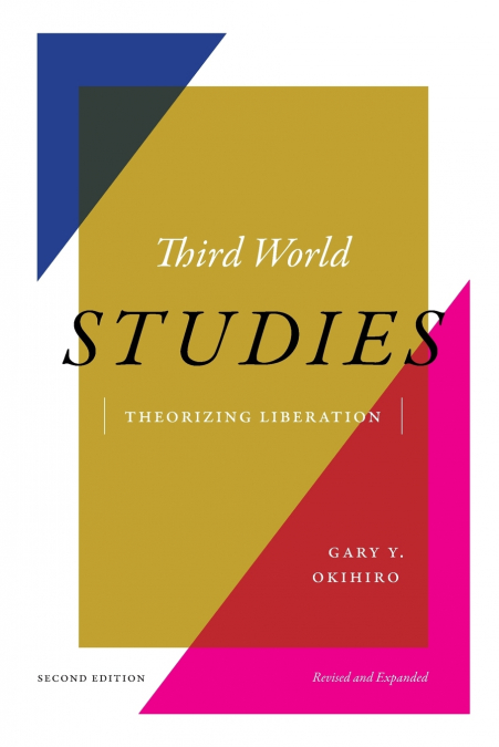 Third World Studies
