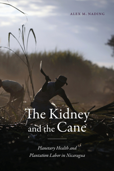 The Kidney and the Cane