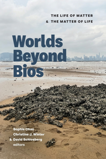 Worlds Beyond Bios