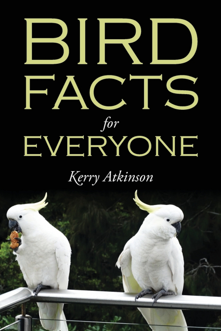 Bird Facts for Everyone