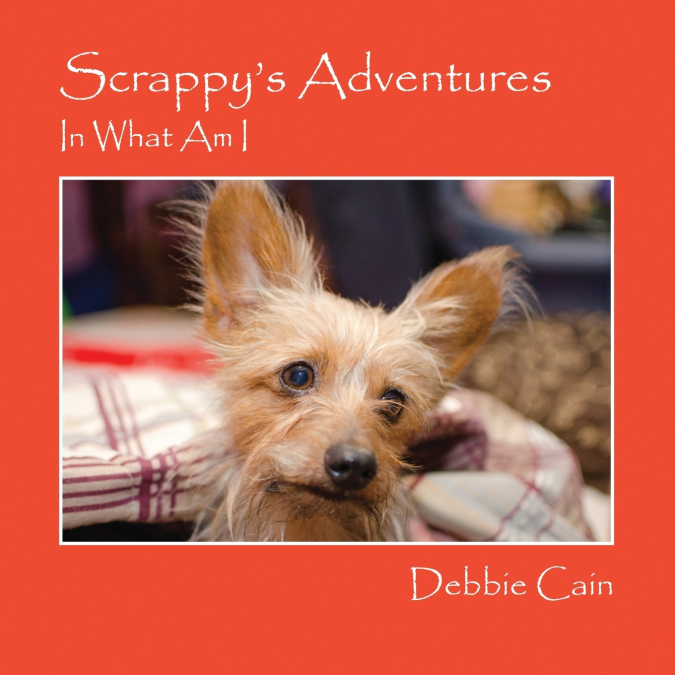 Scrappy’s Adventures