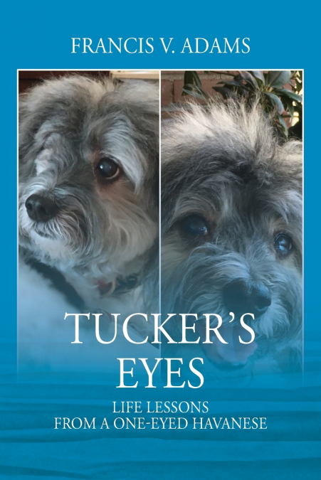 Tucker’s Eyes
