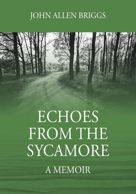 Echoes from the Sycamore