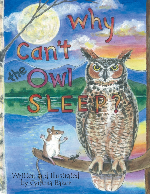 Why Can’t the Owl Sleep?