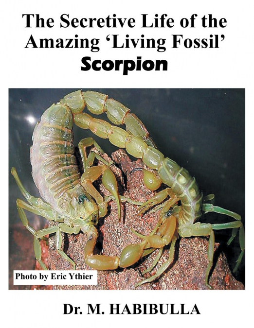 The Secretive Life of the Amazing ’Living Fossil’ Scorpion