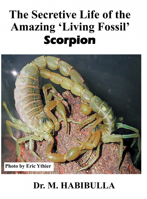 The Secretive Life of the Amazing ’Living Fossil’ Scorpion