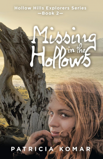 Missing in the Hollows