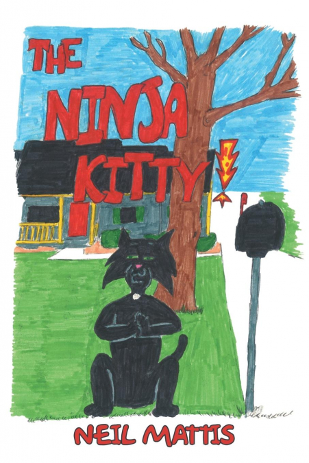 Ninja Kitty