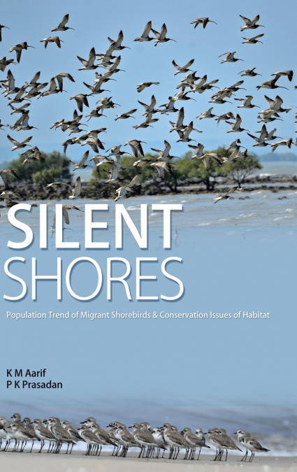 Silent Shores