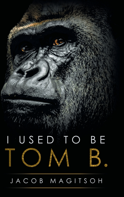 I Used To Be Tom B.