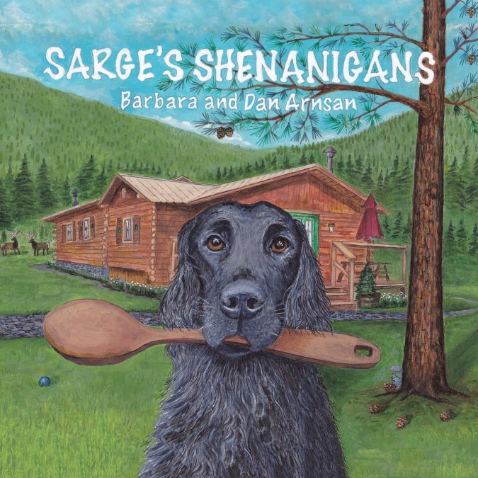 Sarge’s Shenanigans
