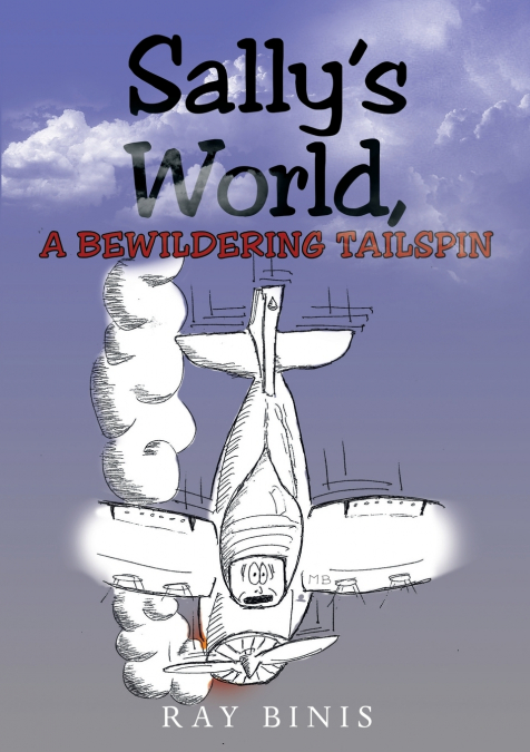 Sally’s World, A Bewildering tailspin