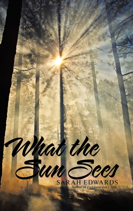 What the Sun Sees