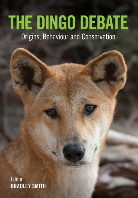 The Dingo Debate