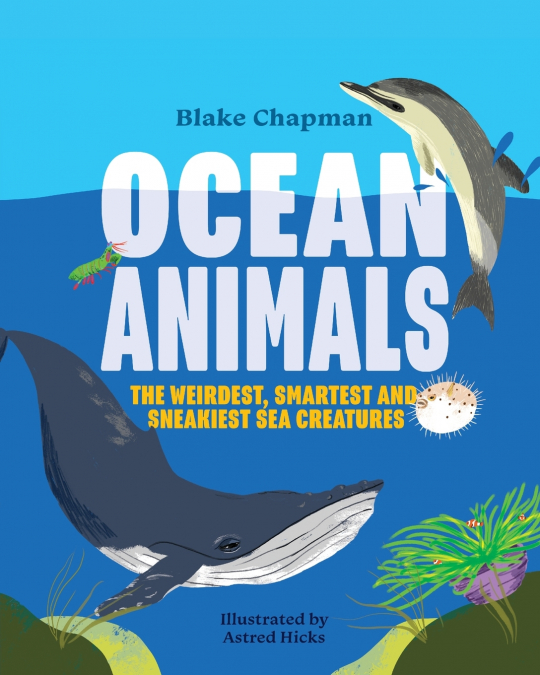 Ocean Animals