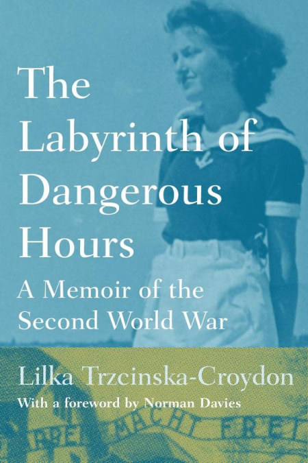 Labyrinth of Dangerous Hours