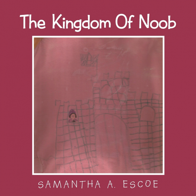 The Kingdom Of Noob