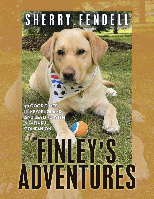 Finley’s Adventures