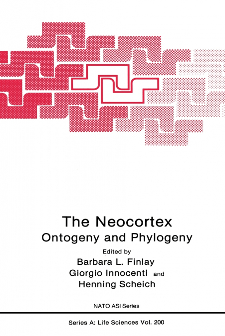 The Neocortex