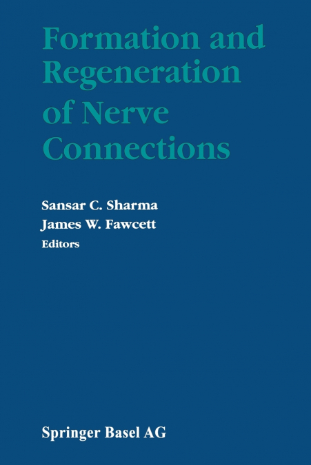 Formation and Regeneration of Nerve Connections