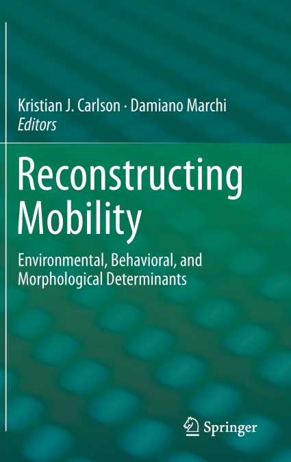 Reconstructing Mobility