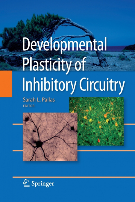 Developmental Plasticity of Inhibitory Circuitry