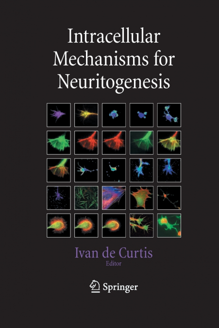 Intracellular Mechanisms for Neuritogenesis