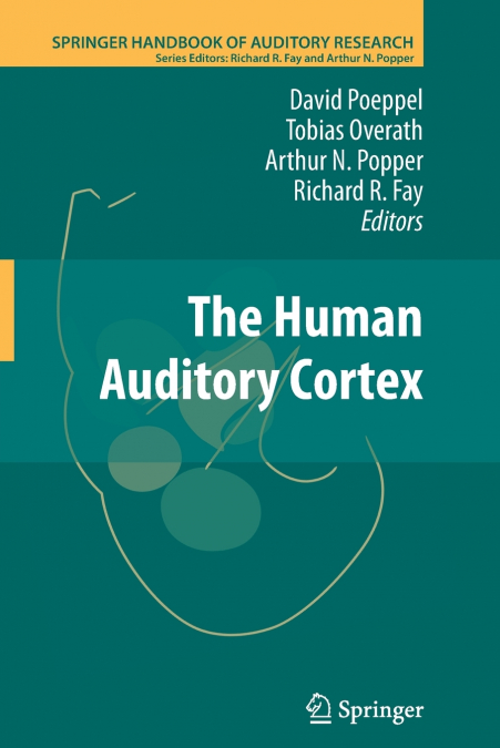 The Human Auditory Cortex