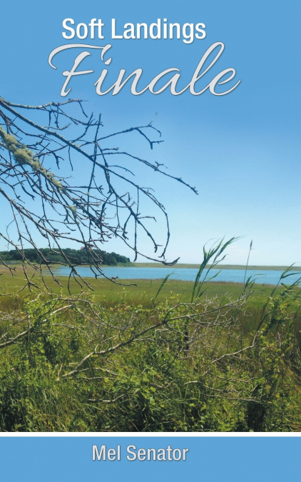 Soft Landings Finale