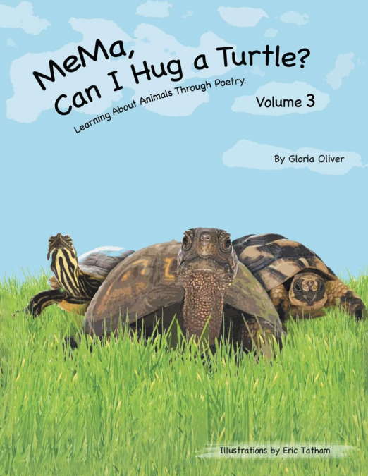MeMa, Can I Hug a Turtle?