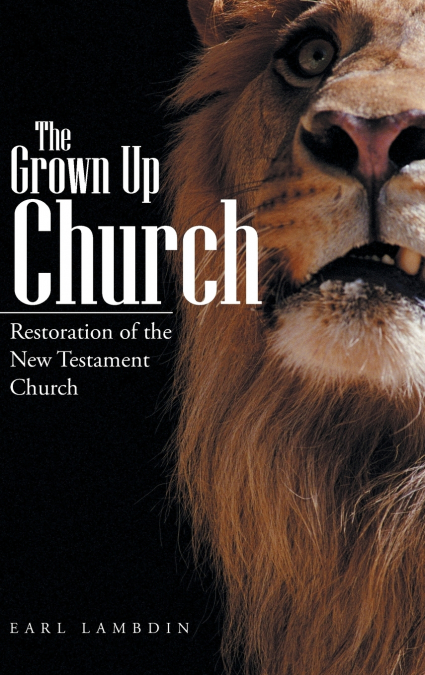The Grown Up Church