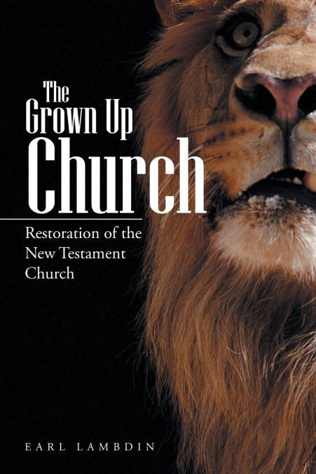 The Grown Up Church