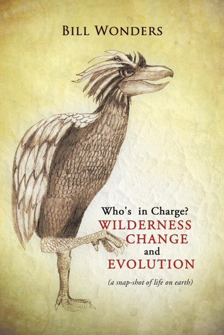Who’s in Charge Wilderness Change and Evolution