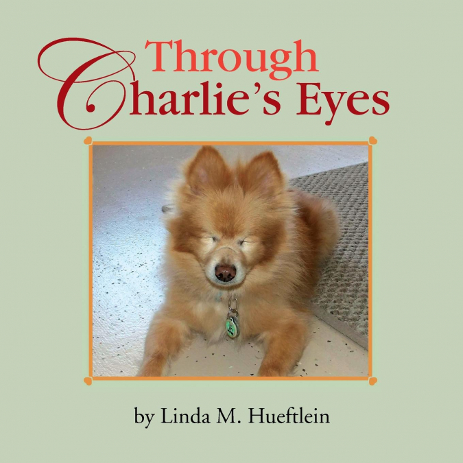 Through Charlie’s Eyes