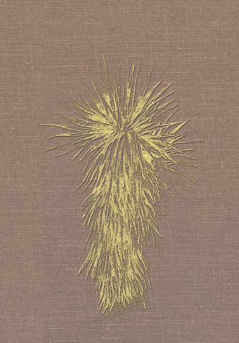 Marfa and Presidio County, Texas