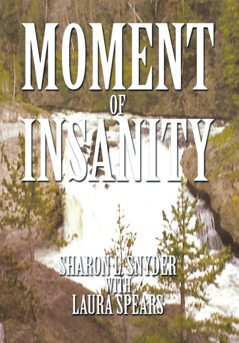 Moment of Insanity