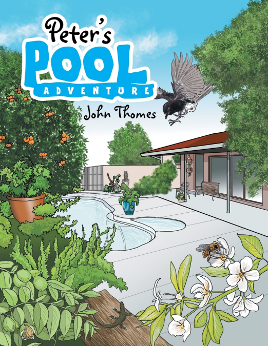 Peter’s Pool Adventure