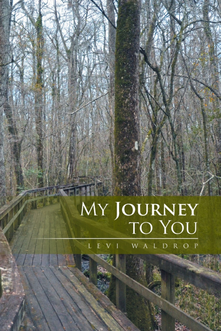 My Journey to You