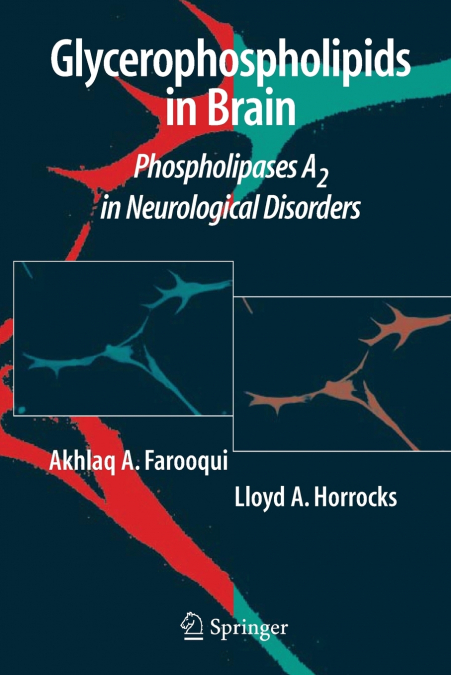 Glycerophospholipids in the Brain