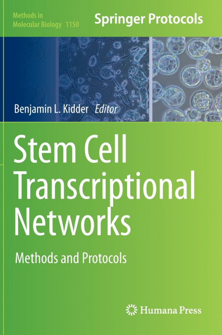 Stem Cell Transcriptional Networks