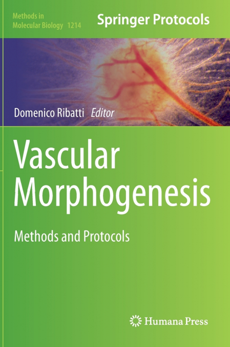 Vascular Morphogenesis