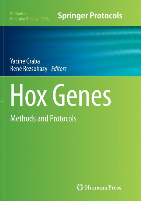 Hox Genes